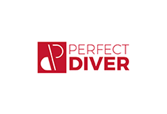 perfect diver